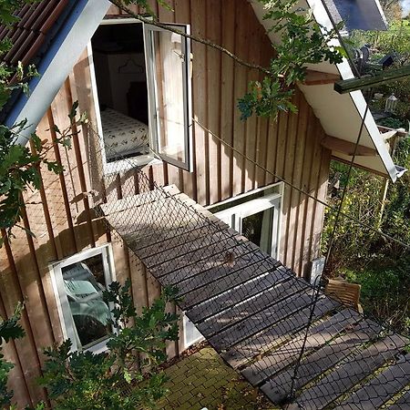 Bij En Boom Bed & Breakfast Драхтен Екстериор снимка