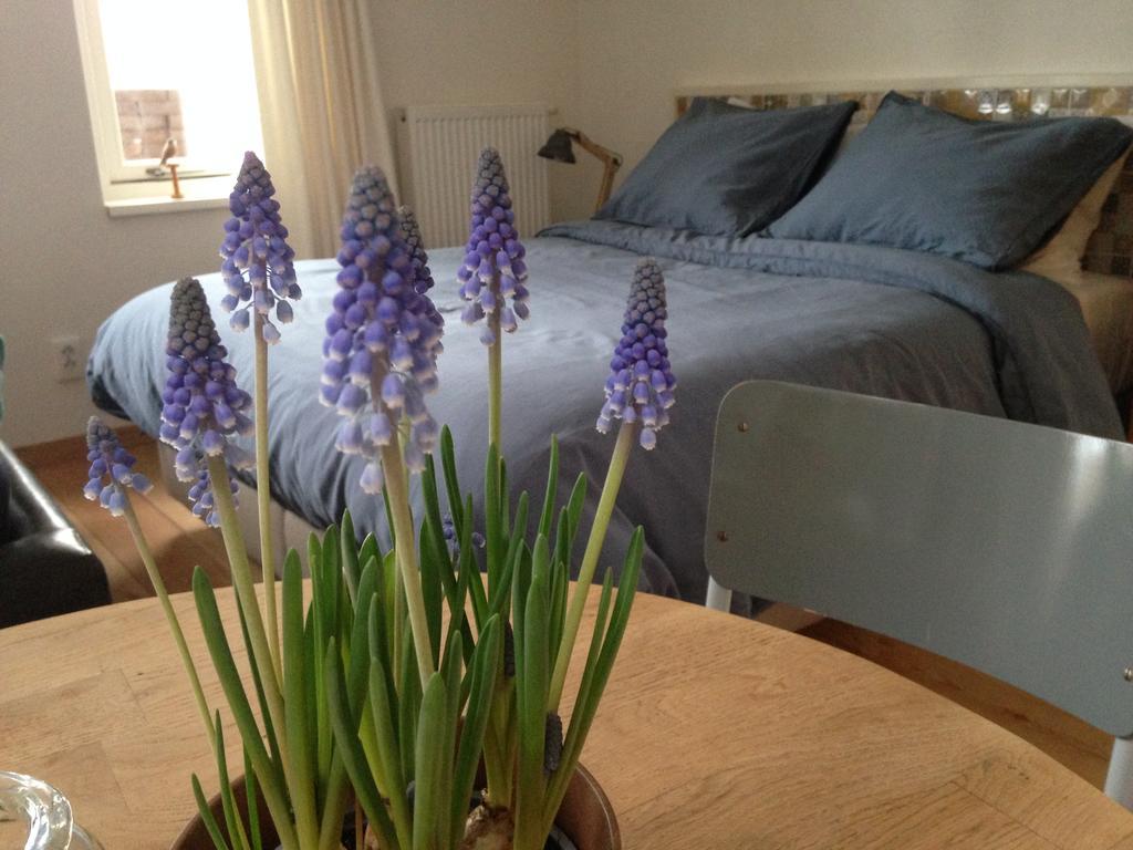 Bij En Boom Bed & Breakfast Драхтен Стая снимка