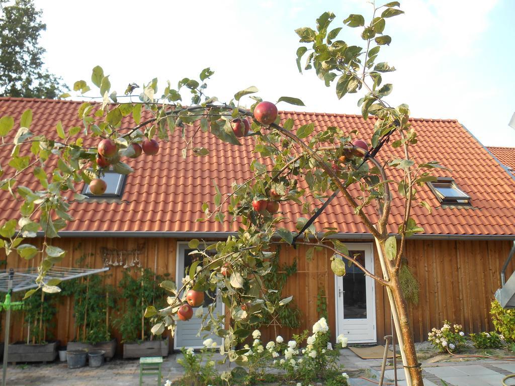 Bij En Boom Bed & Breakfast Драхтен Екстериор снимка