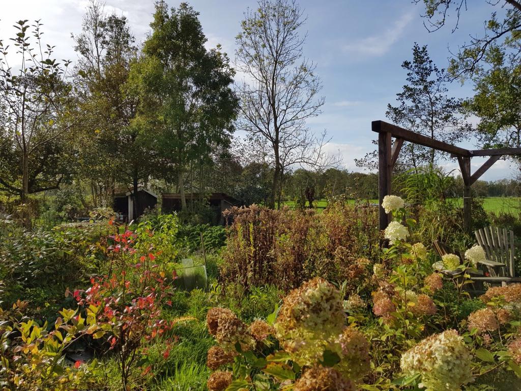 Bij En Boom Bed & Breakfast Драхтен Екстериор снимка