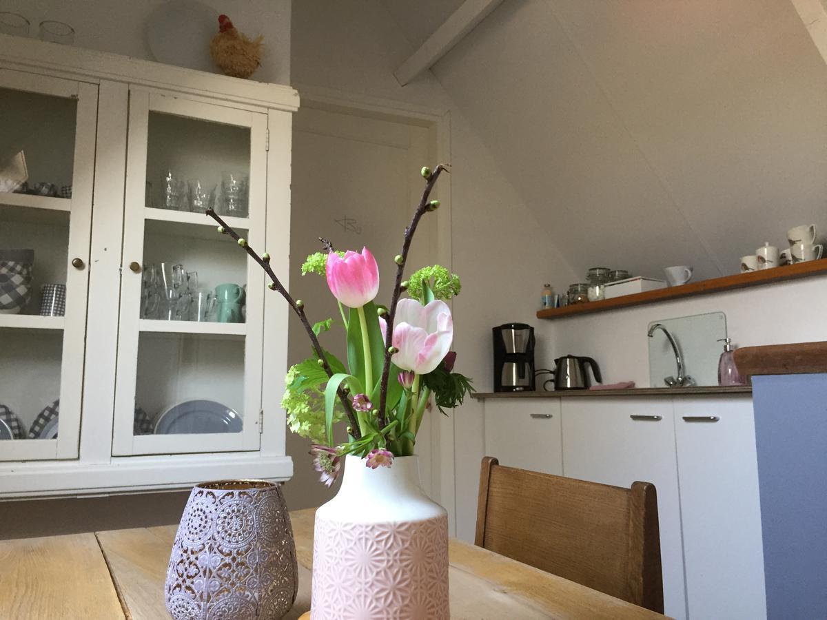 Bij En Boom Bed & Breakfast Драхтен Екстериор снимка